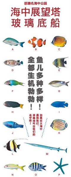 Webパンフレット中国語－簡体
